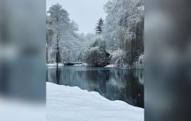 Насувається похолодання: прогноз для Хмельниччини на 30 січня