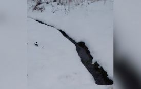 У Хмельницькому активісти заявили про каналізаційні стоки у притоку Бугу: влада заперечує