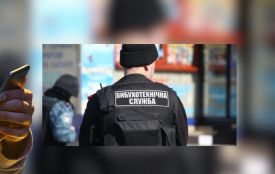 ТЦК і пенсійний фонд. Чим закінчувались «фейкові» замінування на Хмельниччині