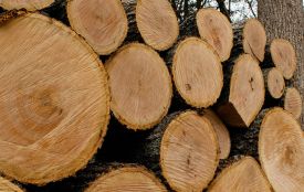 На Хмельниччині повідомили підозру посадовцю Держпродспоживслужби: що відомо