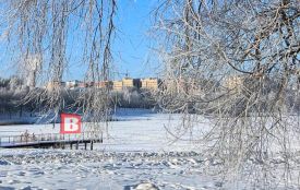 Після відлиги — морози: нова хвиля похолодання насувається на Хмельниччину