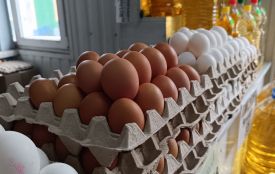 Ціни у Хмельницькому: де вигідніше купувати курячі яйця