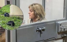 Чиї гроші: Крупа назвала власника викинутих через вікно сумок з готівкою