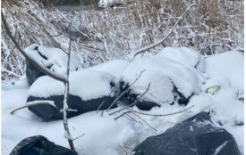 Сміття на березі Плоскої: екоінспекція звернулась до Хмельницької міськради