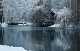 Потеплішає: яку погоду очікувати в неділю на Хмельниччині