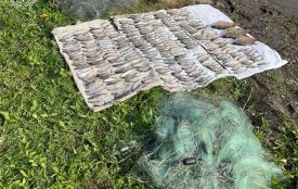 Наловив риби на 1,5 млн грн в нерест: жителю Хмельниччини винесуть вирок