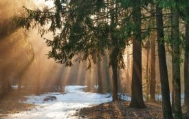 До 7 градусів тепла: погода на Хмельниччині 28 лютого