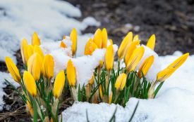 Яким буде перший день весни на Хмельниччині: прогноз погоди