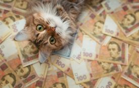 ТОП-10 найзатребуваніших професій на Хмельниччині і скільки за них платять