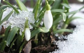 Погода на 4 березня: у Хмельницькій області очікують до +12°C