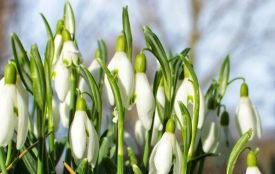 Погода на Хмельниччині 6 березня: що прогнозують синоптики