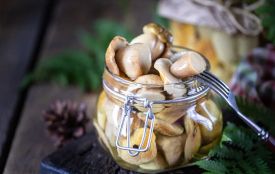 Двоє людей отруїлися грибами на Хмельниччині: перший випадок у 2026 році