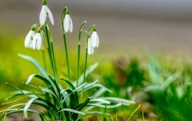 Найтепліший день найближчого часу: погода 13 березня на Хмельниччині