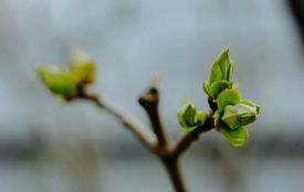 Буде вітряно: прогноз погоди на 14 березня на Хмельниччині