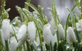 Буде прохолодніше. Якої погоди чекати у Хмельницькому наступного тижня