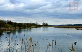 Ніч із невеликим морозом: погода на Хмельниччині 17 березня