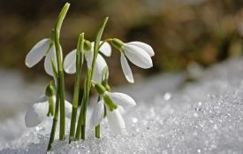 На Хмельниччину йде похолодання: якою буде погода 18 березня