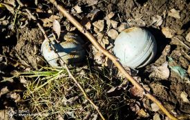 На Хмельниччині знайшли частину російської ракети та десятки боєприпасів