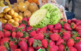 Полуниця, молода картопля і капуста: які ціни у Хмельницькому