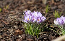 Якою буде погода на Хмельниччині у неділю, 22 березня