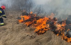За добу на Хмельниччині було 12 пожеж сухої рослинності