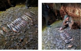 На Хмельниччині під час заборони вилову щуки викрили порушника зі сіткою