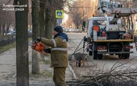 Можливі обмеження руху — у Хмельницькому зрізатимуть аварійні дерева