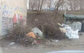 Листя, гілки та трава: як поводитися з «зеленими» відходами у Хмельницькому