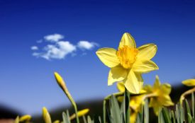 Якою буде погода на Хмельниччині в суботу, 28 березня