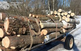 На Хмельниччині працівника «Укрзалізниці» підозрюють у вирубці лісу в заповіднику