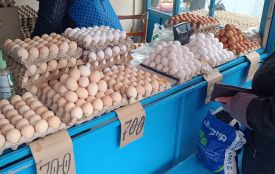 Де в Хмельницькому найдешевші яйця: порівнюємо ціни