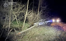 На Хмельниччині водій напідпитку злетів у дерево — отримав 3 роки ув’язнення