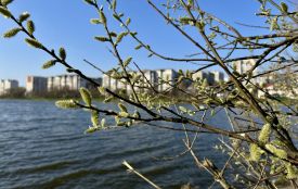 Якою буде погода на Хмельниччині у Вербну неділю 5 квітня