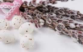 Вербна неділя 2026: прикмети, звичаї та заборони до свята