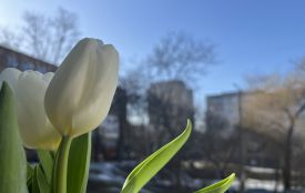 Дощі та заморозки: прогноз погоди у Хмельницькому на тиждень