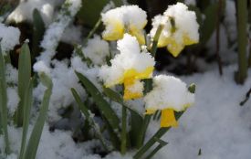 Дощ, мокрий сніг і заморозки: погода на 8 квітня на Хмельниччині