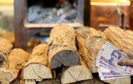 Скільки коштують дрова на Хмельниччині, де дешевше та як їх замовити