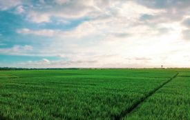 У росіянина на Хмельниччині конфіскували земельну ділянку