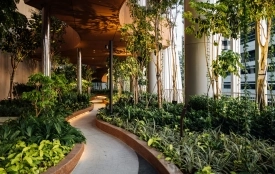 Фітодизайн vs. звичайні квіти: у чому різниця і коли варто звертатися до профі (новини компаній)