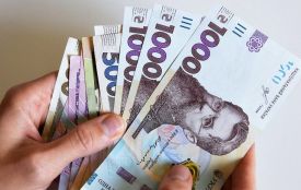 Шахрайство з бюджетними коштами: на Хмельниччині винесли вирок підприємниці