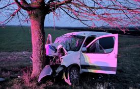 Четверо травмованих: на Хмельниччині п’яний водій врізався в дерево