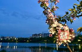 Коли потепліє на Хмельниччині: синоптикиня назвала дату