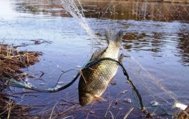 На Хмельниччині під час нересту затримали браконьєра з уловом на 900 тисяч гривень