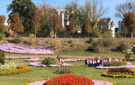 Потеплішає до +18: погода на Хмельниччині 15 квітня