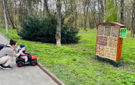 У парку Чекмана з’явився готель для комах