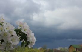 На Хмельниччині оголосили штормове попередження через грозу