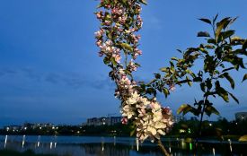 Синоптикиня назвала дату потепління: погода 21 квітня для Хмельниччини