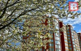 Дощ і сильний вітер: погода на Хмельниччині 25 квітня