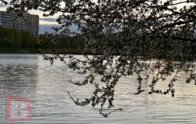 Хмельниччину накриє негода: погода на неділю, 26 квітня