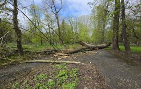 У Хмельницькому аварійні відключення світло через негоду (АДРЕСИ)